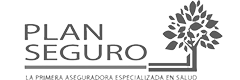 Logo plan Seguro